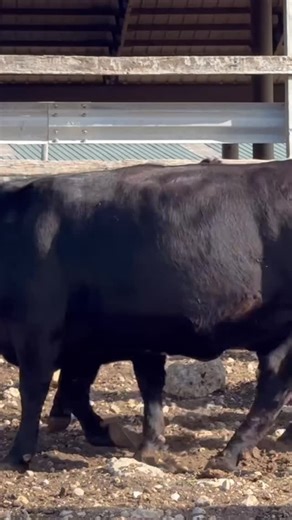 73 reactions · 11 shares | We’re less than 2 months away from our 5th...