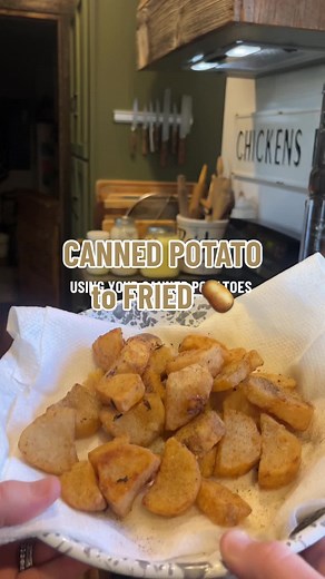 Cooking with Canned Potatoes: Easy Homemade Recipes