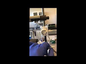 Low Pressure Liquid Chromatography