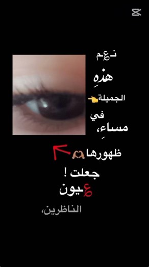 ٦ أبريل ٢٠٢٦