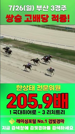 [Busan Horse Racing] July 26 Sunday Race 3, Expert Han Sang-tae hits big payout on Quinella #KRA ...