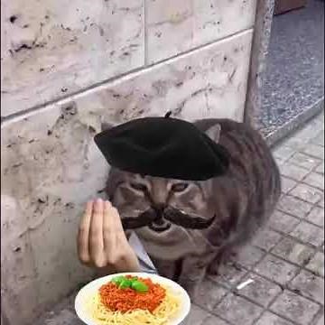 gato italiano,buongiorno🐱🤌 meme