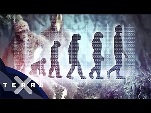 Wie lernte der Mensch laufen? | Terra X