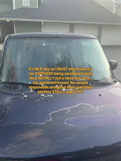 I made the report yesterday but since it’s MLK Weekend I had to share! Mind you, I didn’t wanna get the cops involved but I’ve been h*te crimed and harassed MULTIPLE times since October!!! Chat what would Martin tell me right now 😭😭 #martinlutherkingjr #martinlutherkingday #aintnoway