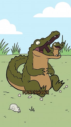 Les crocodiles ont-ils l’instinct maternel ? #apprendresurtiktok