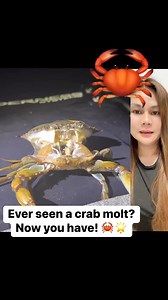 1.5M views · 7.6K reactions | Did you know crabs undergo a process...