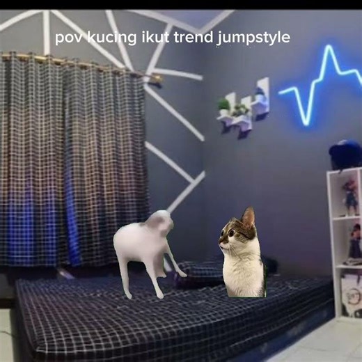 video meme kucing ke tiga