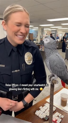 145K views · 3.4K reactions | smart #talkingbird #talkingparrot #funnybirds #funnypetvideos | Talk With Max | Facebook