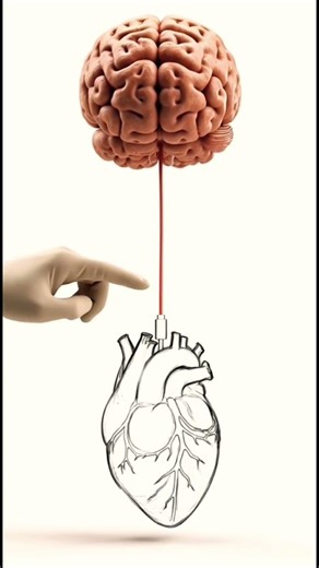 ❤️ How Does the Brain Control the Heart? | 3D Medical Animation | Rive Healthm
