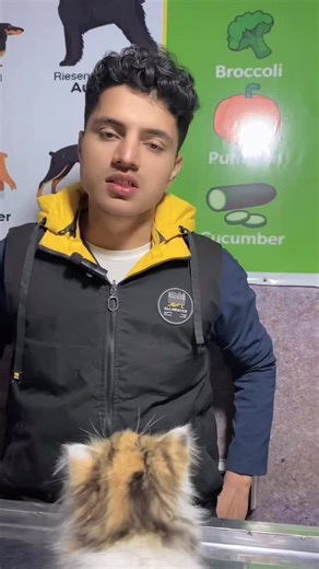 Surg. Dr. Abdul Ahad 🥇 on Instagram: "Rectal prolapse is a condition where the rectum (the last part of the large intestine) slips from its normal position and bulges or protrudes through the anus. While it can be uncomfortable and embarrassing, it is rarely a medical emergency in its early stages. Rectal Prolapse in Raleigh, NC | UNC REX Colorectal Surgery Rectal Prolapse: Delorme’s Procedure - North Tees and Hartlepool ... Rectal Prolapse: Symptoms, Causes, Treatment, & More Key Facts About R