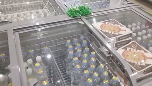 3.5K views · 21 reactions | Mob: +86-199 0639 6929(We Chat & What's App) E-mail: Dusung29@DusungRefrigeration.com | Commercial refrigeration | Facebook