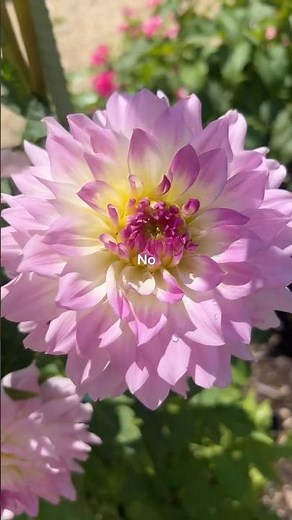 Tune out the noise and tune into your body. 😌