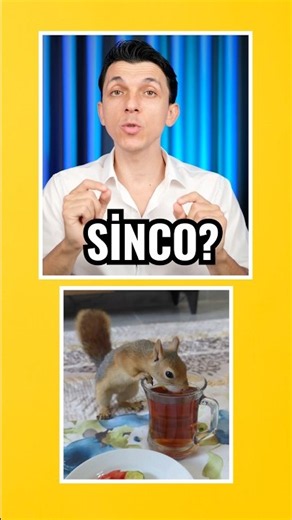 THE NEW GENERATION OF INFLUENCERS - SİNCO THE SQUIRREL