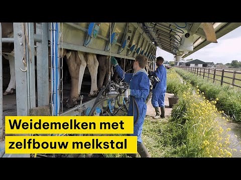Melken in de weide, met zelfbouw melkstal