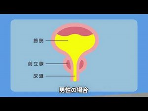 【泌尿器科】「尿漏れ・頻尿」は歳のせい？諦める前に知っておきたい原因と、毎日の快適を取り戻す治療｜すやま泌尿器科クリニック