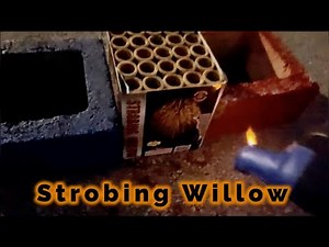 Strobing Willow 25 Shot 200G Cake (Raccoon Fireworks)