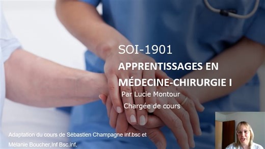 SOI 1901 cours 2 PowerPoint narré Processus infectieux
