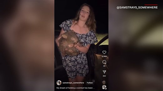 American influencer under fire for taking baby wombat from its mother leaves Australia