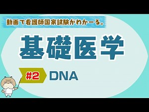 『基礎医学 #2』DNAとは？【看護学生向け看護師国家試験講座】