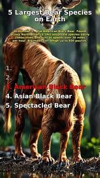 5 Largest Bear Species on Earth 🐻
