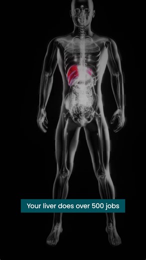 Tired of feeling exhausted, dealing with brain fog, and struggling with bloating? Your liver might be asking for help. The Plug combines 13 powerful Korean herbs in a clinically-proven formula that's helping thousands reclaim their energy and wellness naturally. ✨ What makes THE PLUG DRINK different: - Zero artificial ingredients - Proven results in 4-8 weeks* - Traditional Korean medicine 👉 Try The Plug today! | The Plug Drink