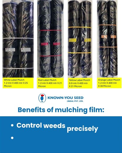 Mulching Film Farming | Save Water & Increase Yield Fast #farming #kisan