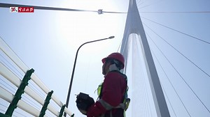 Spanning 36 km between #Ningbo and Jiaxing, the Hangzhou Bay Bridge has carried over 250 million vehicles since 2008 — that works out to a vehicle every two seconds! Now, a high-tech team ensures its upkeep: robot dogs patrol the deck, climbing robots inspect cables, and drones scan towers. #NingboFocus | Insight Ningbo
