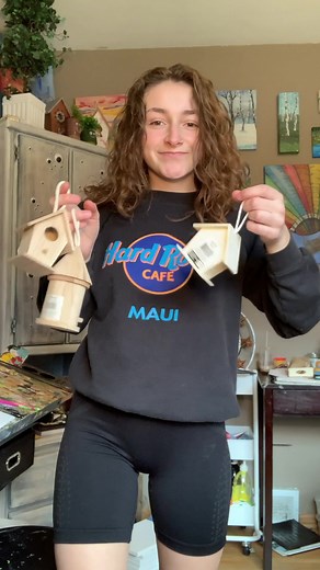 Unique Birdhouses for Sale - Handcrafted Designs