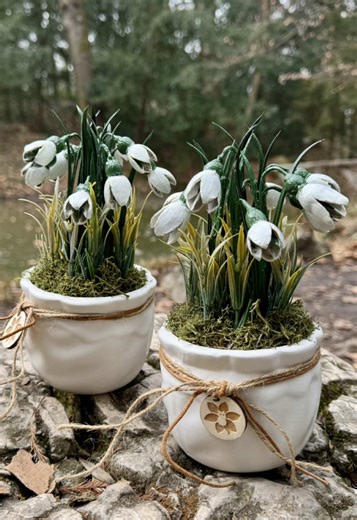 Hoztam is Nektek a beígért tutorial videót a hóvirág dekorációról. 🌱❄️ Mivel az időjárás most egyhetes havazást ígér, mi lehetne tökéletesebb benti dekoráció, mint egy hóvirág? Ez az alkotás alapvetően nagyon egyszerű, csak néhány alapanyagra és szerszámra van szükség. A hóvirág fejéhez kétféle termést használtam: eukaliptuszt és bakulit. A bakuli alsó részét lepattintottam, a helyére ragasztottam a mini eukaliptusz termést, mögé pedig a drótot. A hóvirág egyik nagyon fontos része a buroklevél,