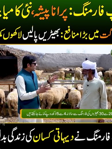 Exploring Sheep Farming in Pakistan: Business Opportunities