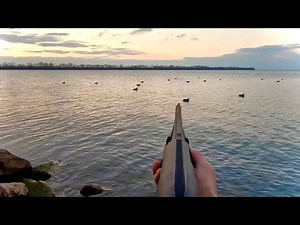 Bufflehead and Diver Duck Hunt on BIG WATER