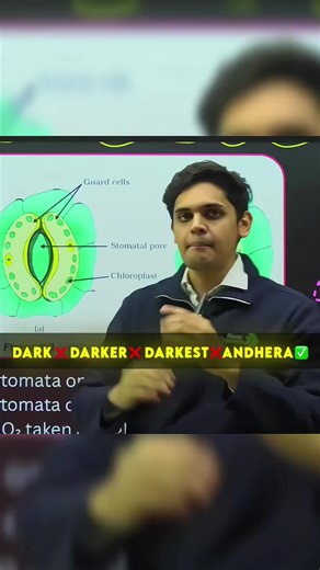 Kya karre ho bhaiya - Exam Pressure Solutions