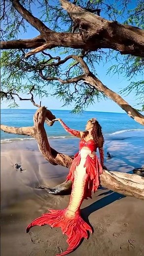 I’m an important mermaid - mermaid humor by Stephen Spencer 🤣 Swimming with whales & sharks 🐋