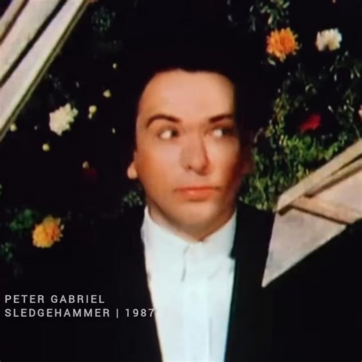 33K views · 982 reactions | Peter Gabriel - Sledgehammer | Your Music Video Playlist | Facebook