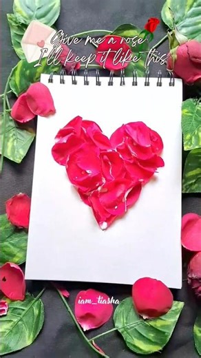 Dry rose preservation ❤️🥀