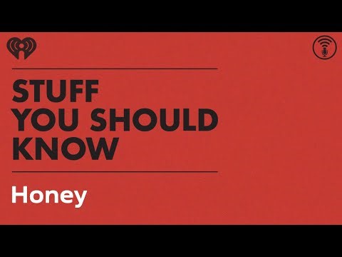Honey: Nature's Wonder Sugar | STUFF YOU SHOULD KNOW