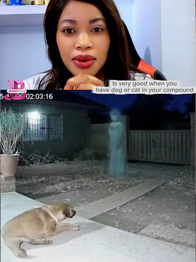Dogs and cats in your compound is good 😳See for yourself 😱 | JENNY BLOG