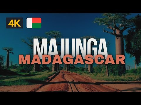Aventure à Majunga, Madagascar : Plages, Baobabs et Culture Locale