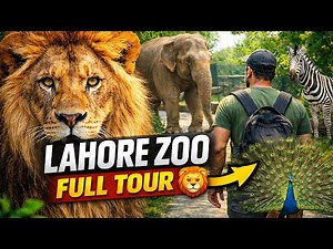 Lahore Zoo Full Tour 2026 🦁 | Animals, Birds & Family Fun | Complete Walkthrough