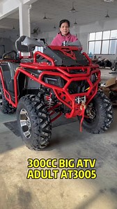 300cc Quad bike factory, two adult seat big ATV, off road all terrain vehicle #quad #atv #300cc Max speed 80KM/H, load capacity: 300KGS | Yang Emily