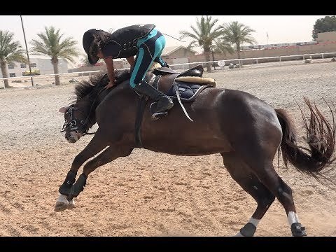 FAIL! 8 Year Old Girl Falls Off Pony