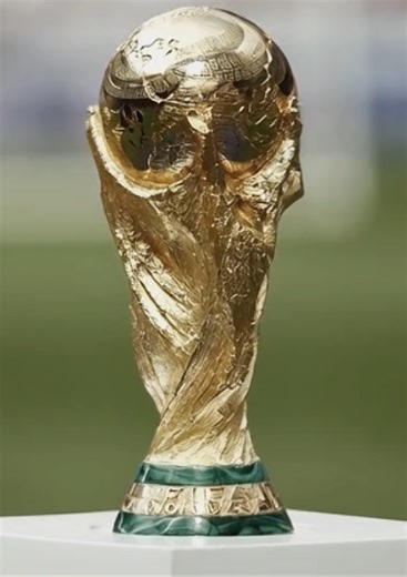 The Turtle Song: A Catchy Tune for All Ages