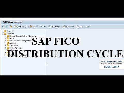 DISTRIBUTION CYCLE SAP FICO