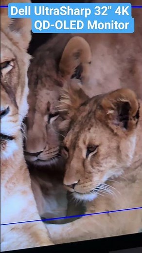 Dell 4K UltraSharp 32" Quantum Dot OLED monitor! U3226Q ‪@CES‬ #iwork4dell