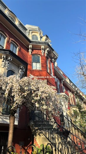 what life looks (and sounds) like lately ✨🌸🤍 #washingtondc #springtime #bloom #hannahmontana #girlythings