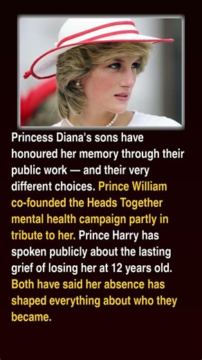 Princess Dianas sons Prince William and Prince Harry carry her legacy in different ways