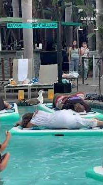 Sea Gull Rescued From Netting