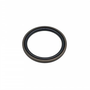 [Hot Item] Piston Step Seal Gsd Ladder Ring Heavy-Duty Two-Way Piston Seal