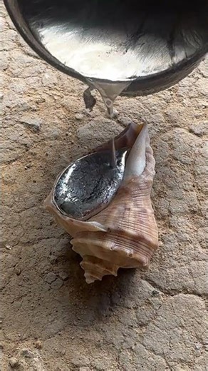 Turning scrap into snail shell masterpiece 🐌 #recycling #restoration #shorts