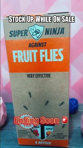 Eliminate Fruit Flies Fast: Easy DIY Solutions #PestControl #DIYTips